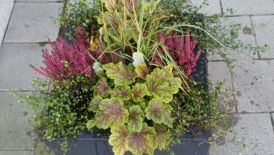 GäM: Projekt &quot;Herbstzauber&quot;